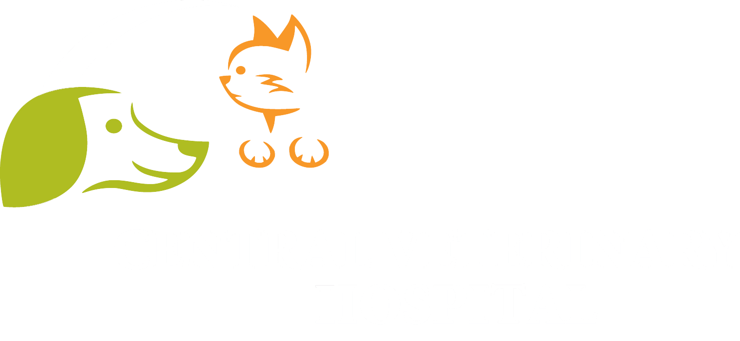 Central Veterinary Hospital